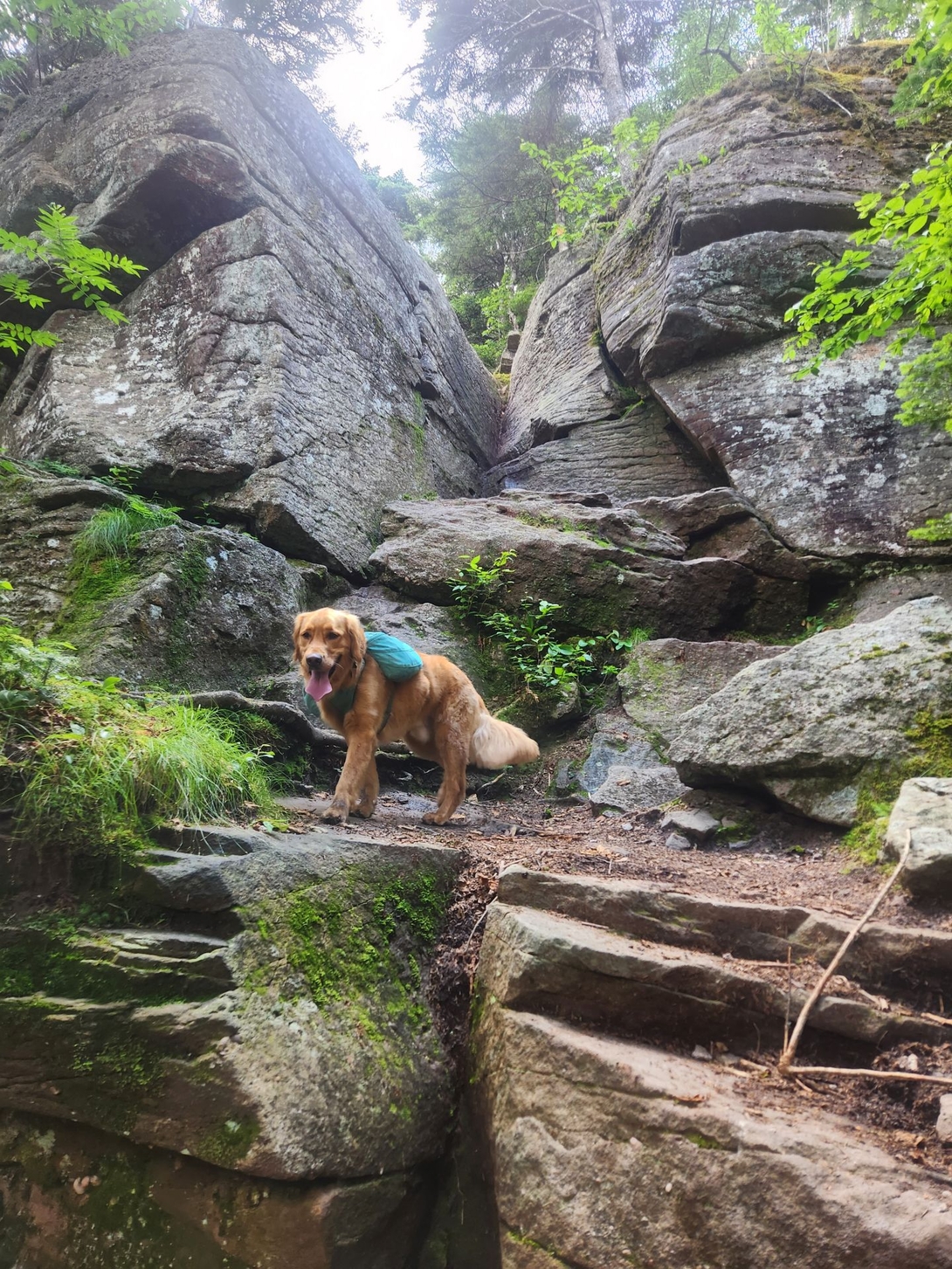 more interesting formations