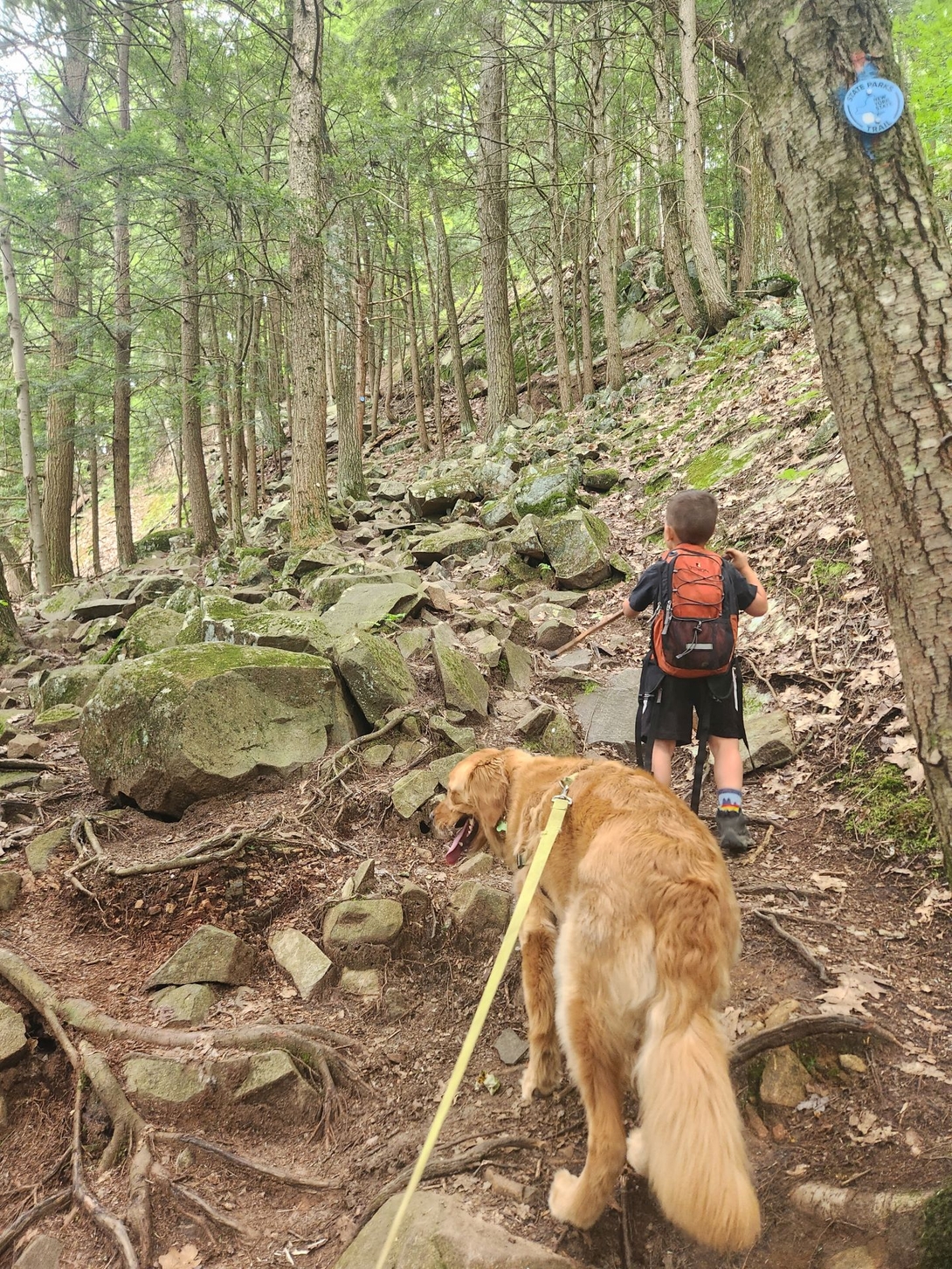 We eventually came to the final boulder field before the summit.