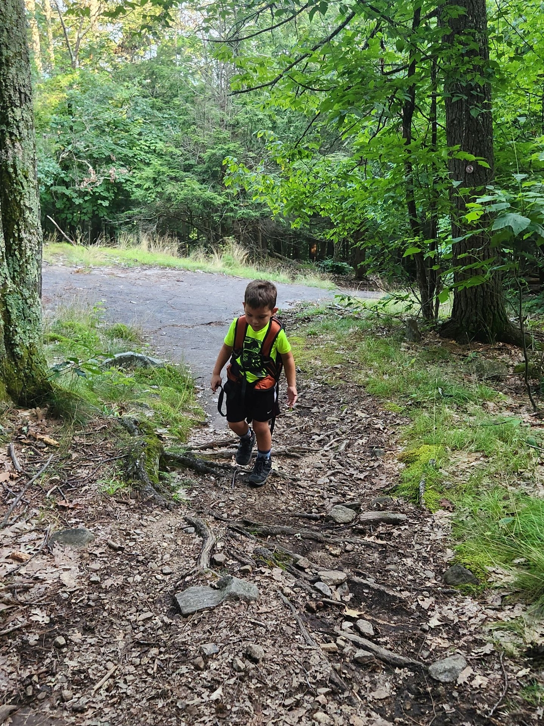 quinn on trail up the mountain