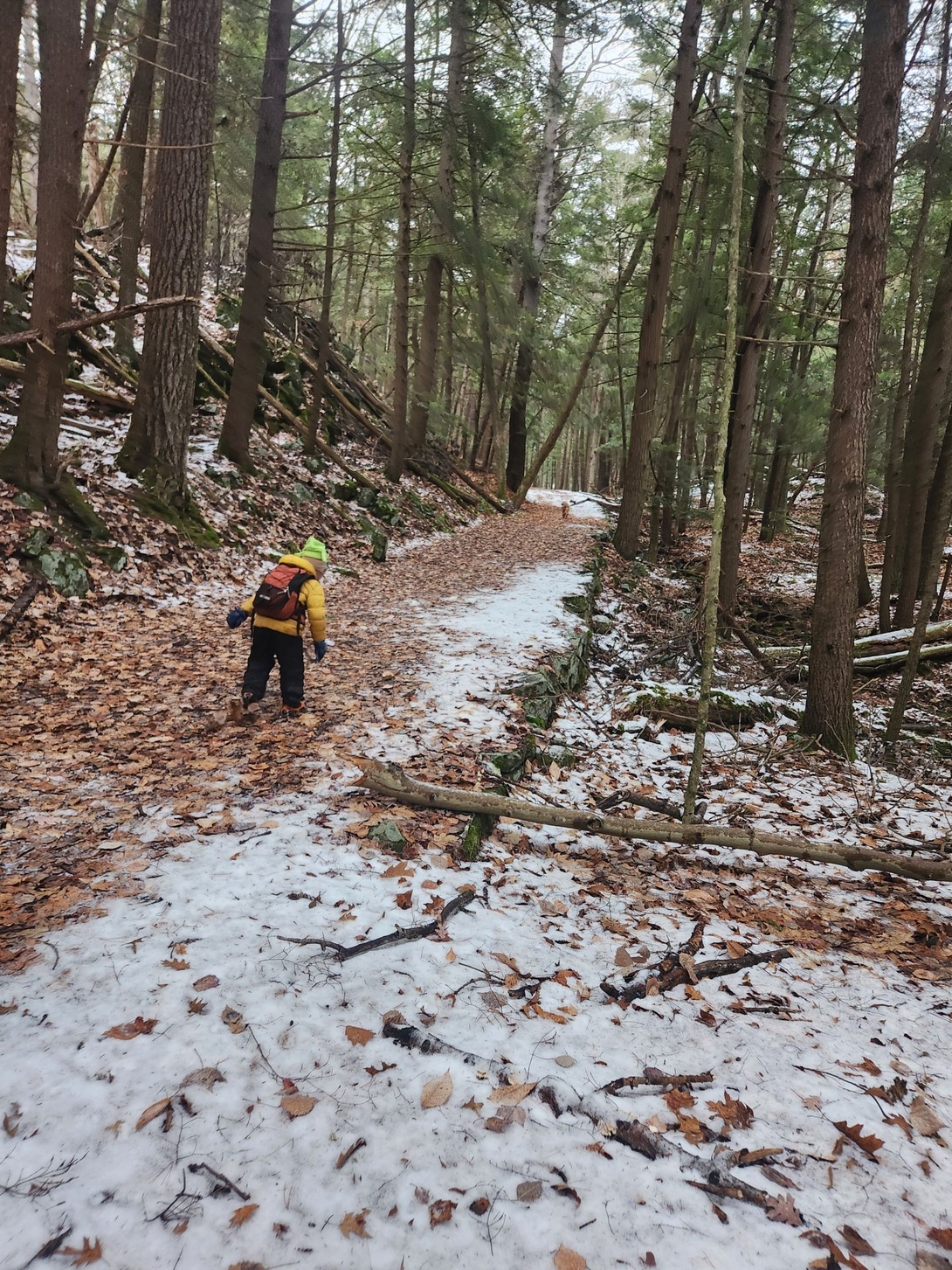 quinn on trail in wihter on shelving rock mt