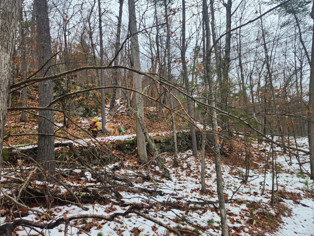 on the old carriage road