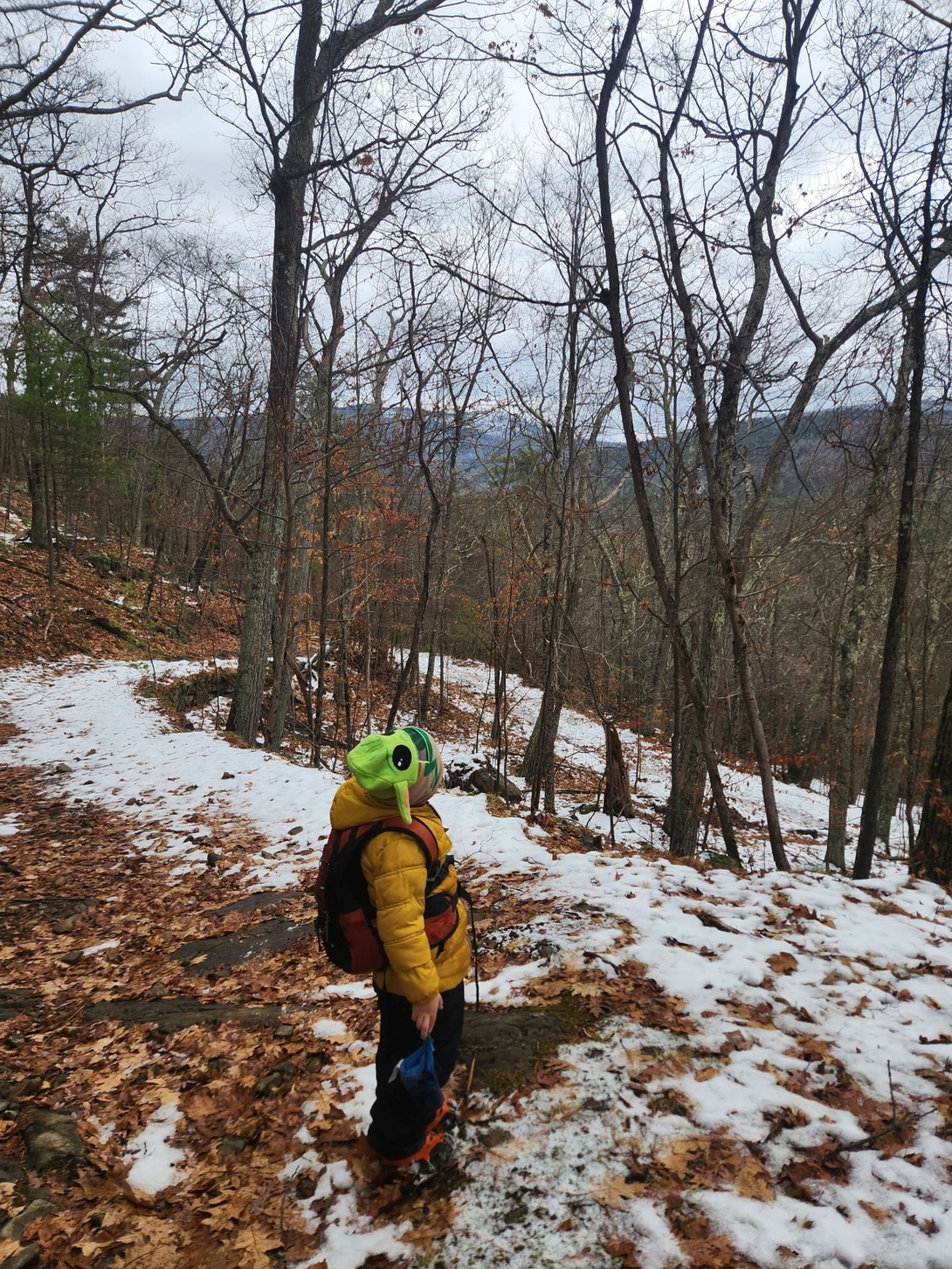 gazing out at buck mt