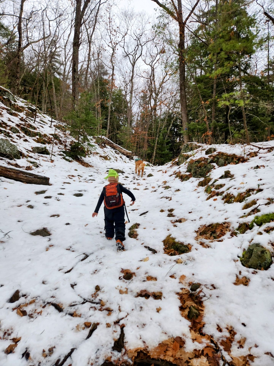 quinn chasing sunny up the mountain
