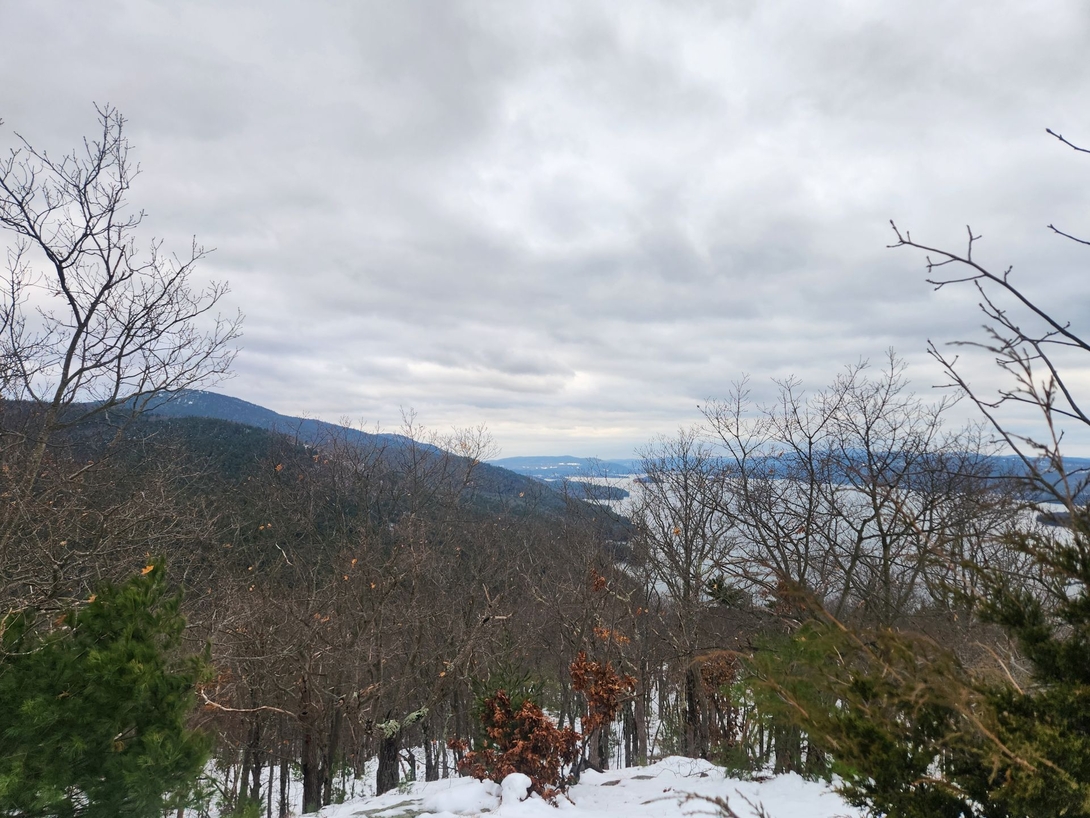 shelving rock summit