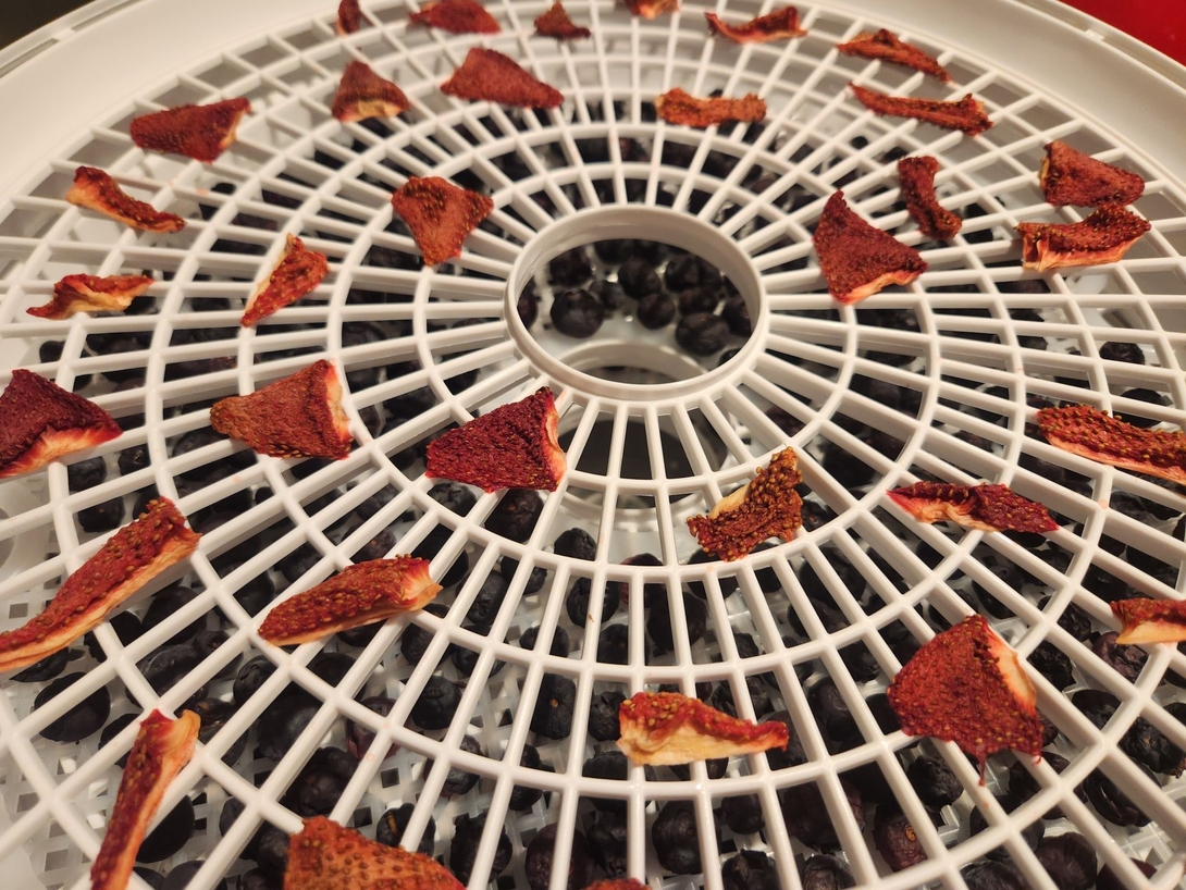 berries in the dehydrator