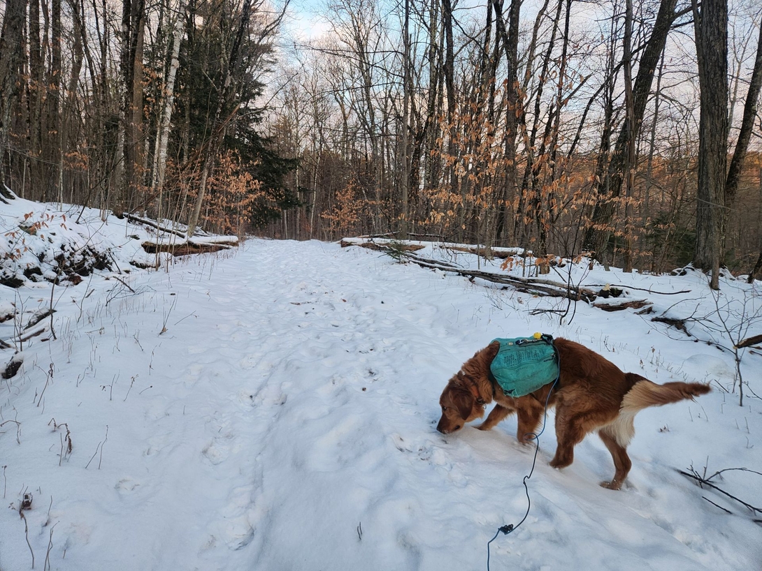 on the trail
