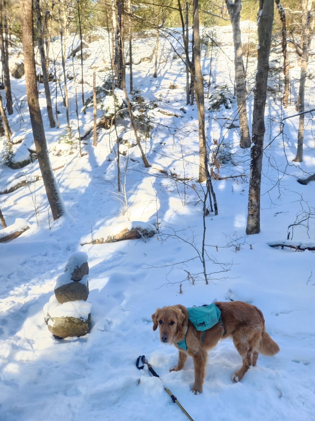 cairn to fivemile