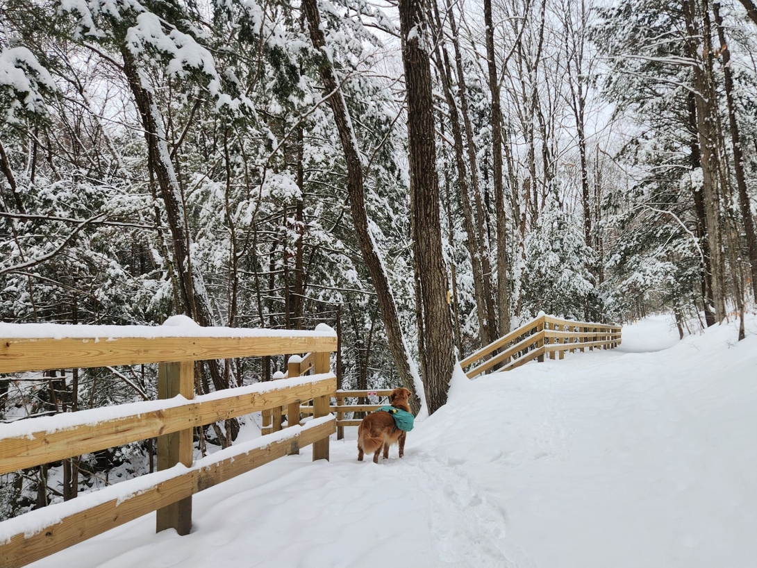 on the trail by the stream