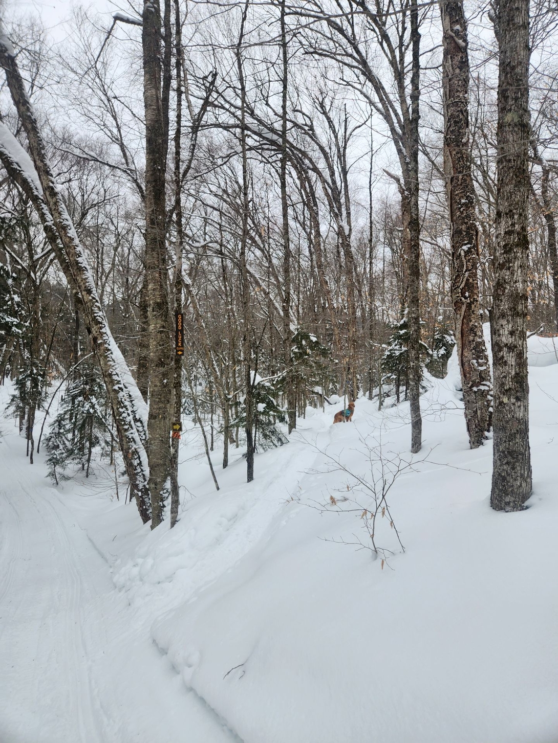 starting up the trail from the snowmobile trail