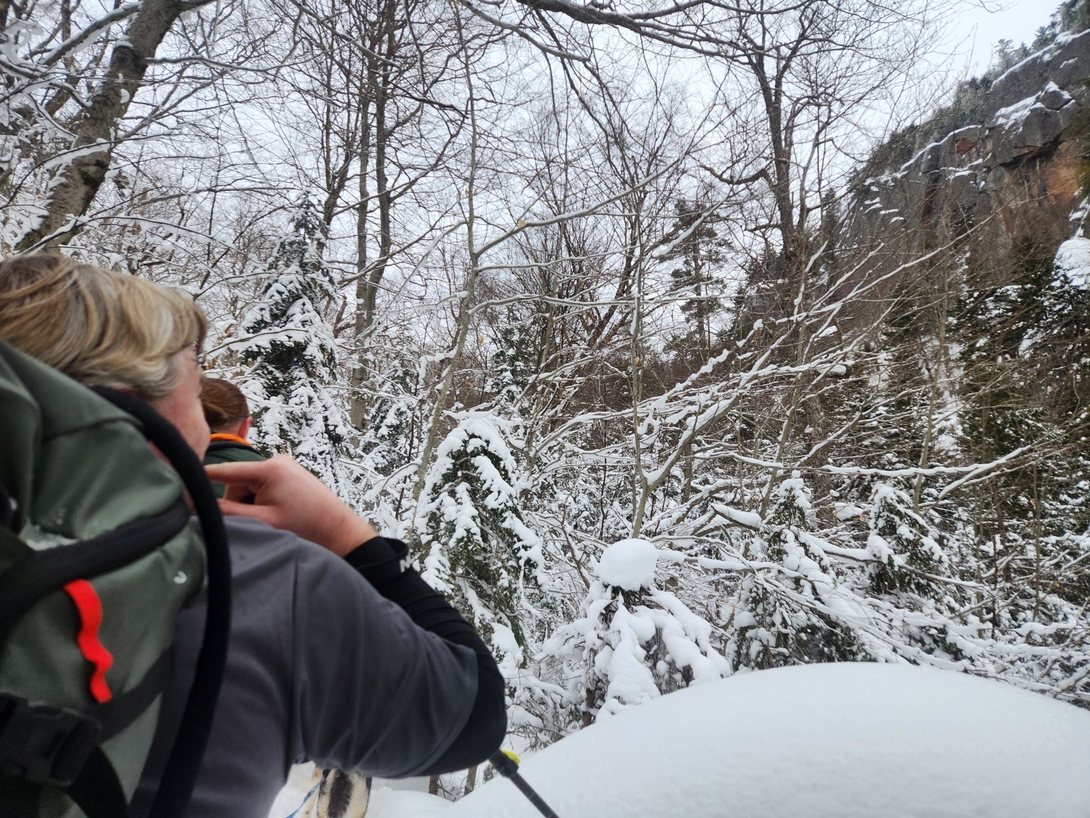 dan gazing at the cliffs