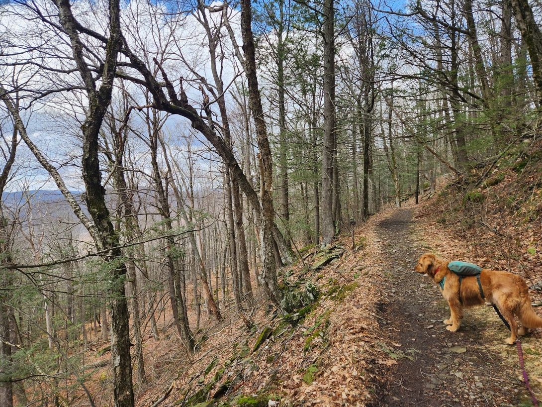 trail along the hill