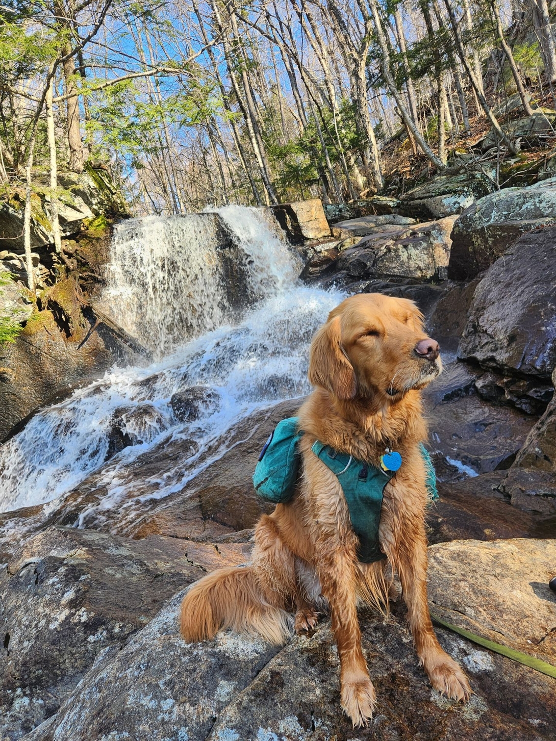 sunny at the waterfall