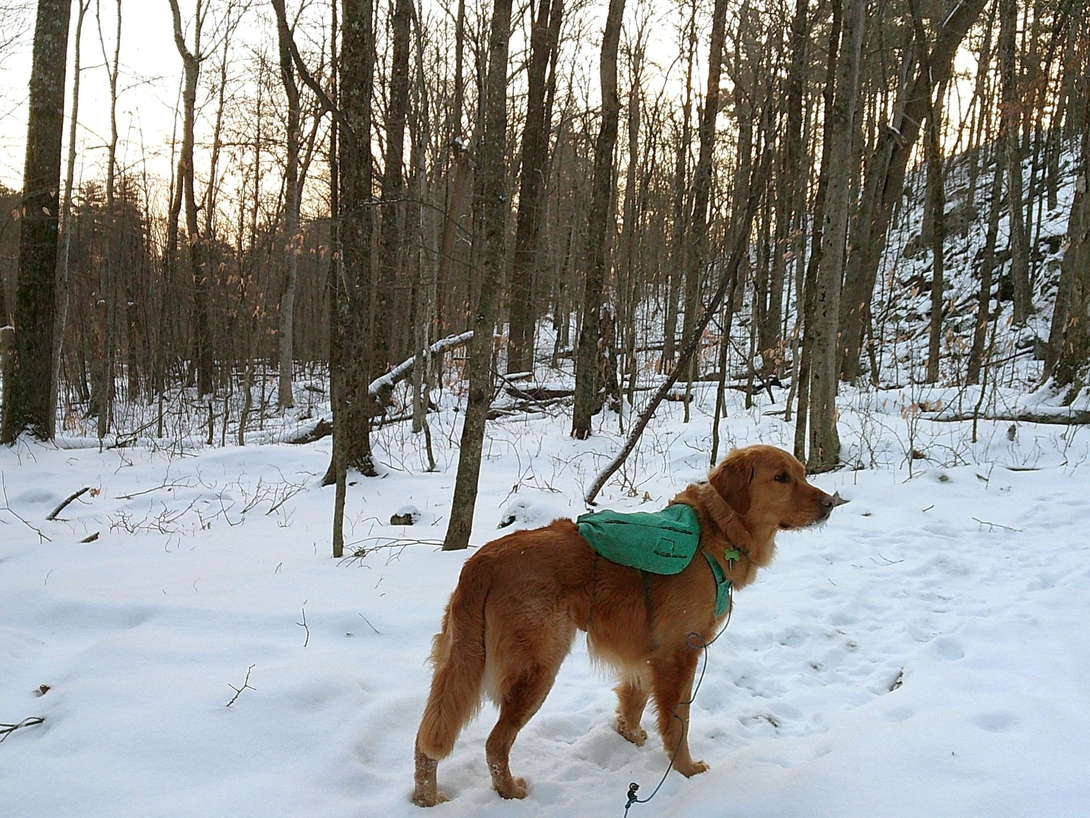 Approaching the second elevation gain.