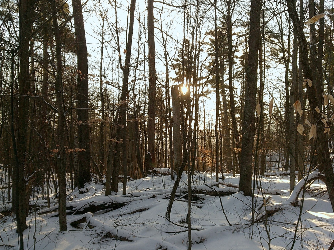 sun