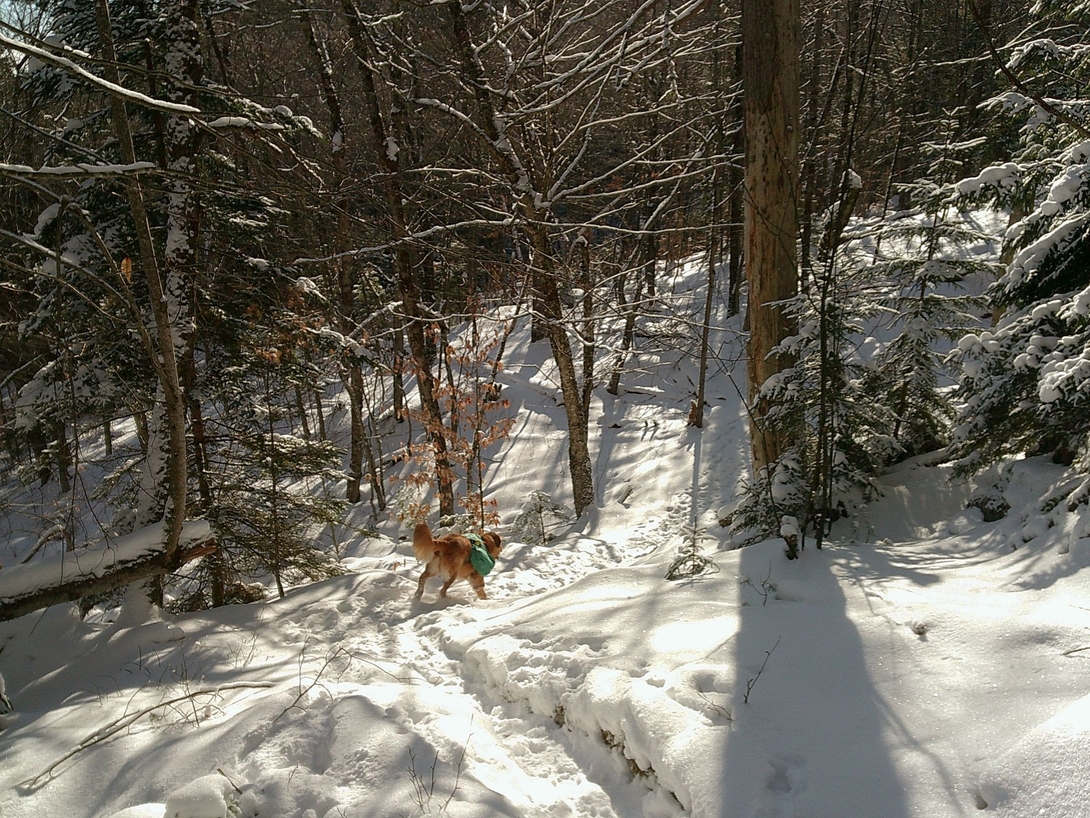 down from the fivemile summit