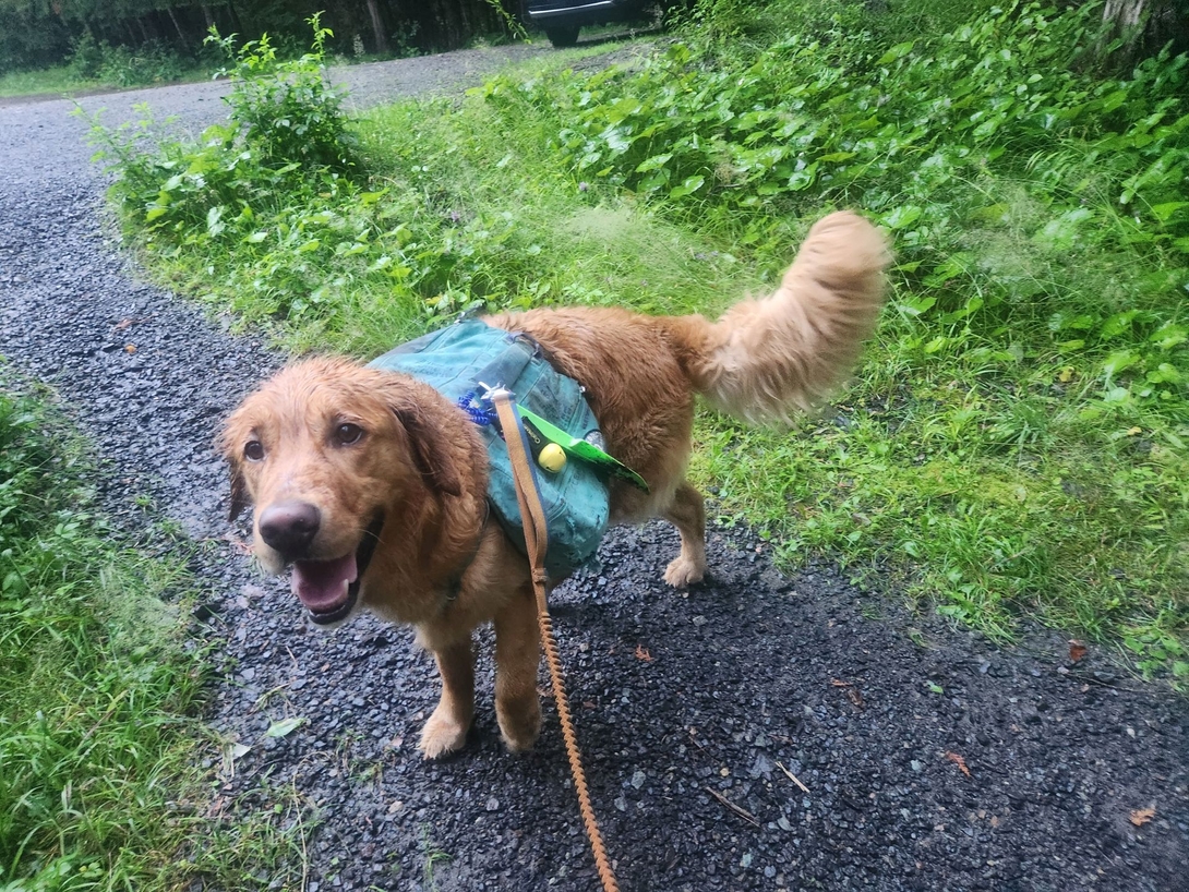 sunny at allen trailhead
