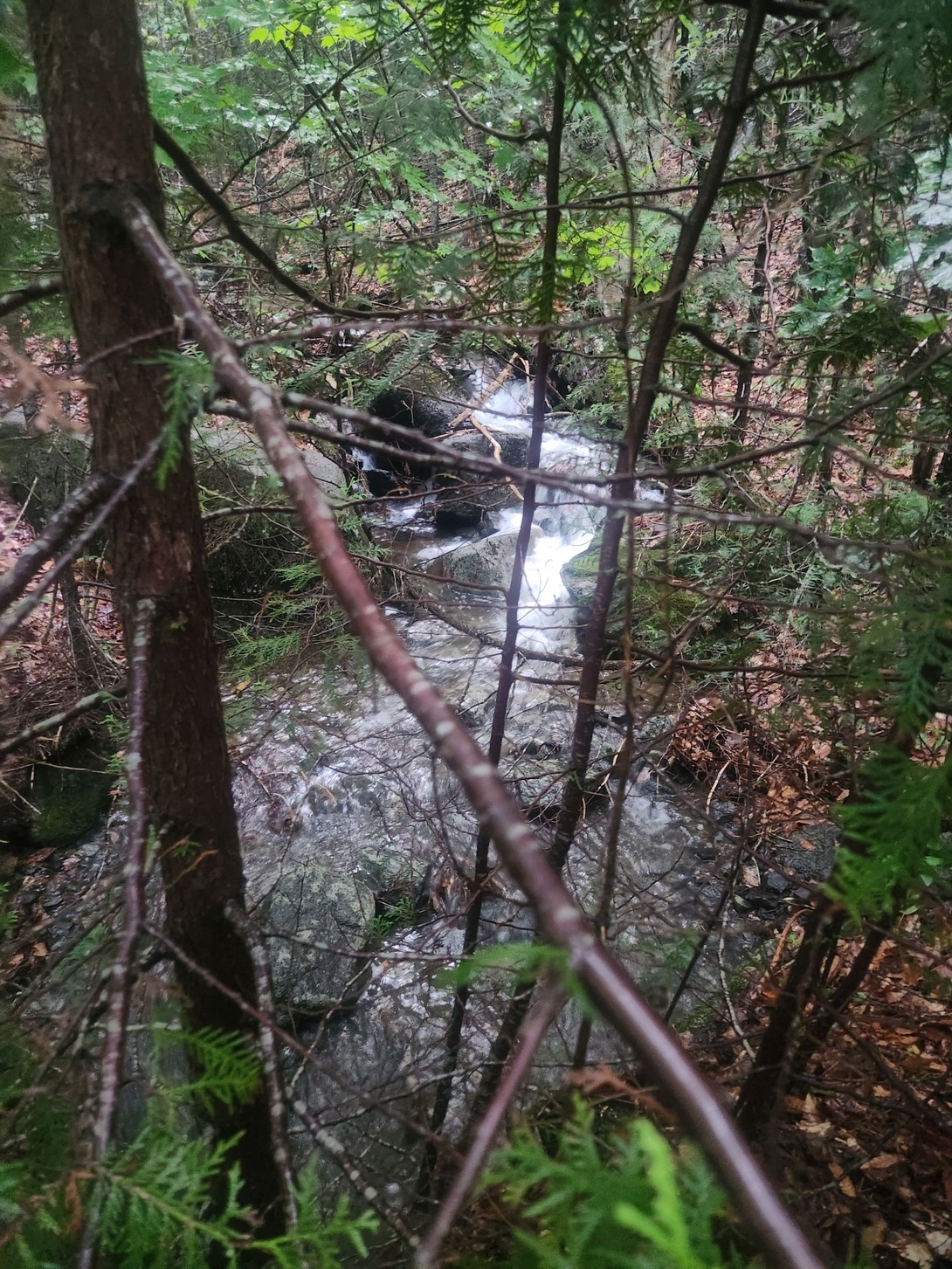 fast water