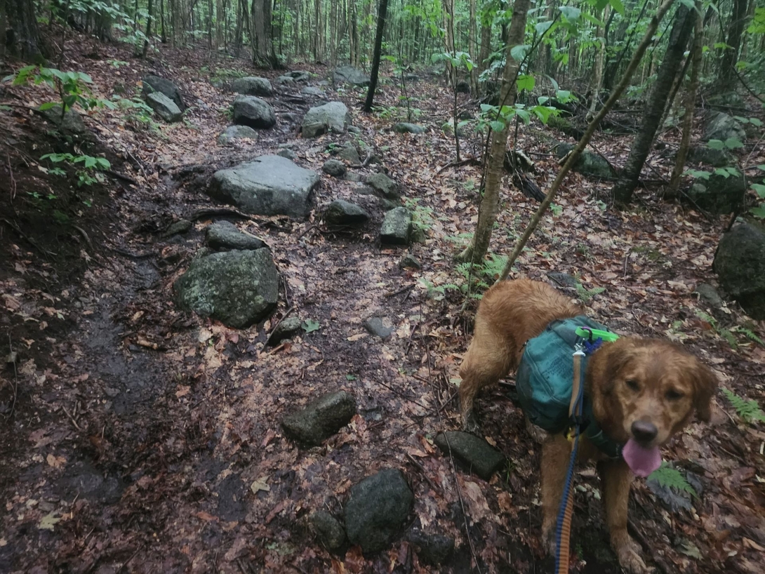 rocky trail