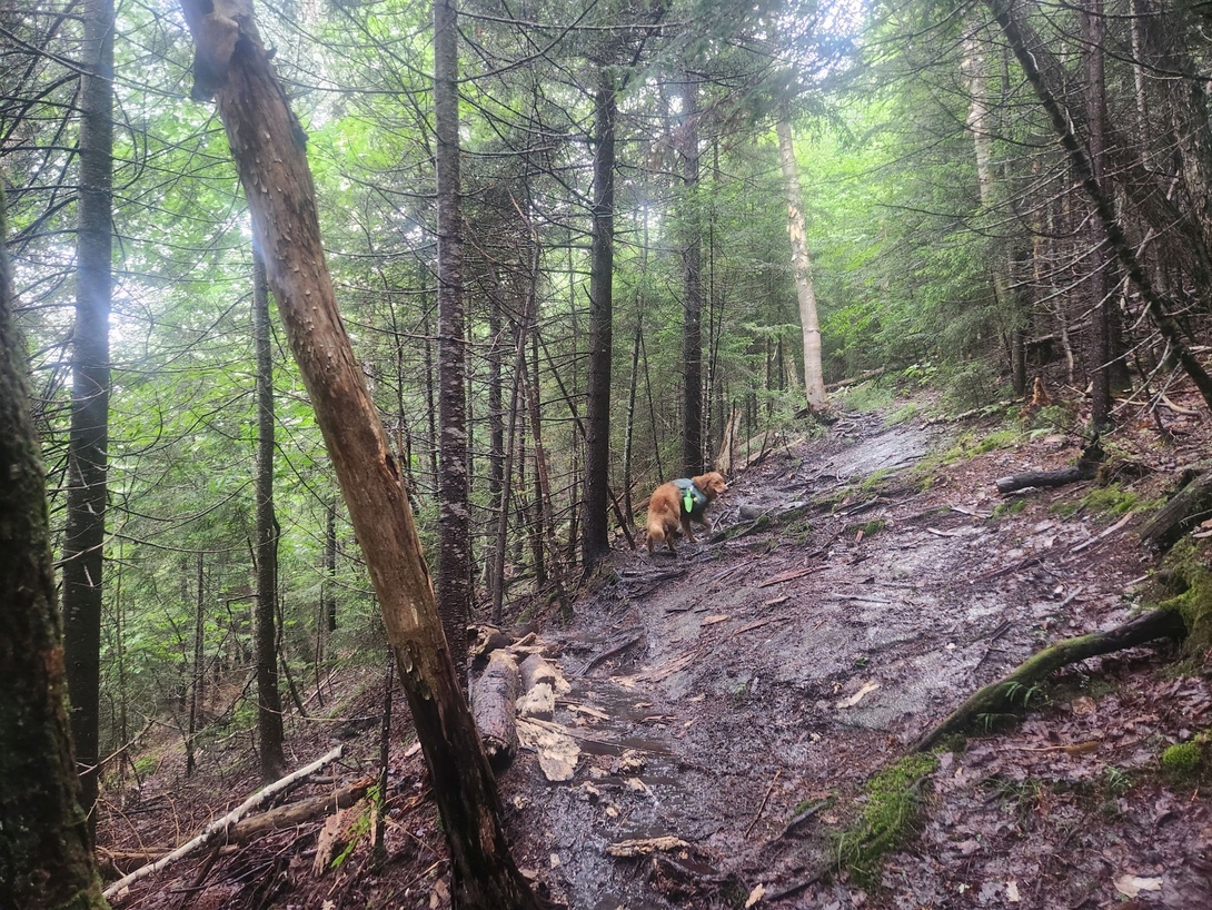 switchbacks