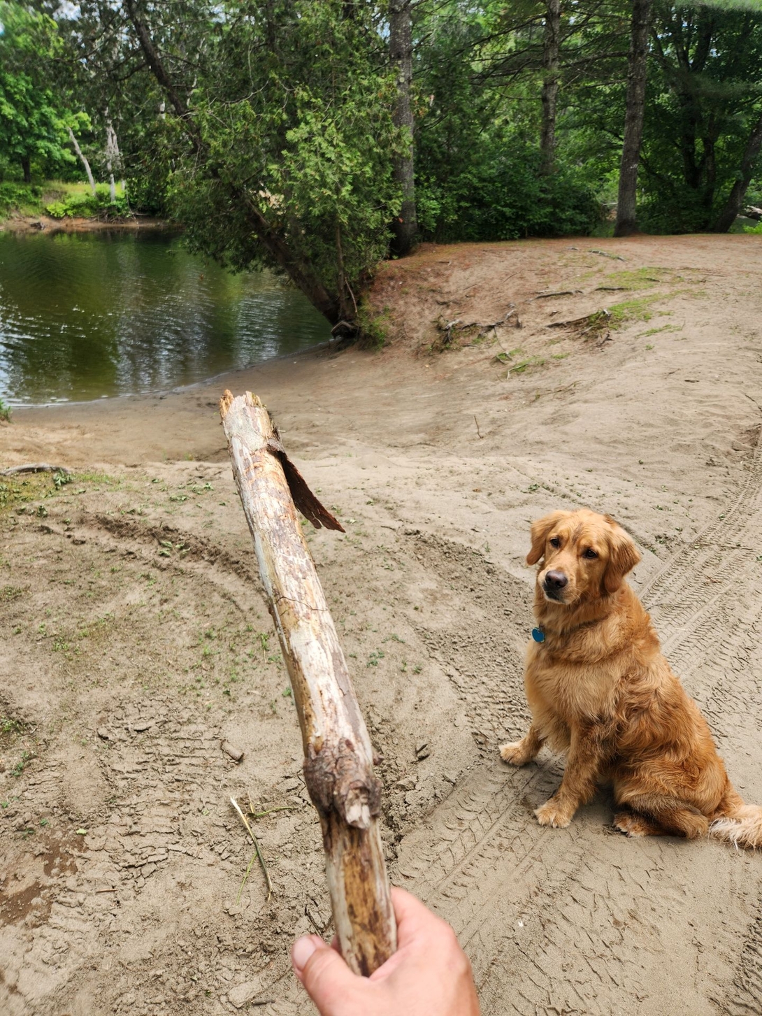 stick!