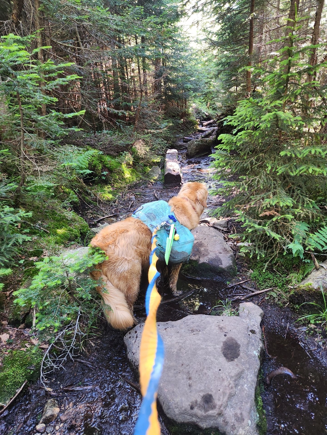 hike from Bushnell Falls