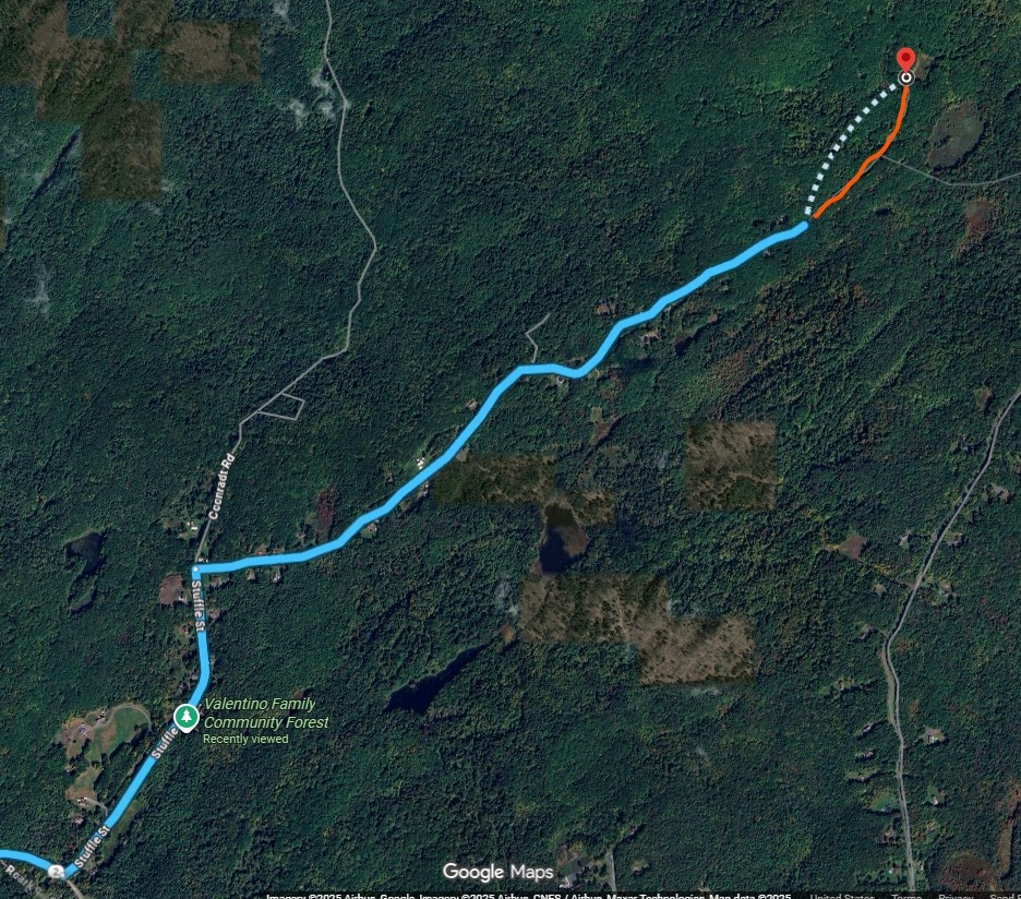 driving map grafton forest