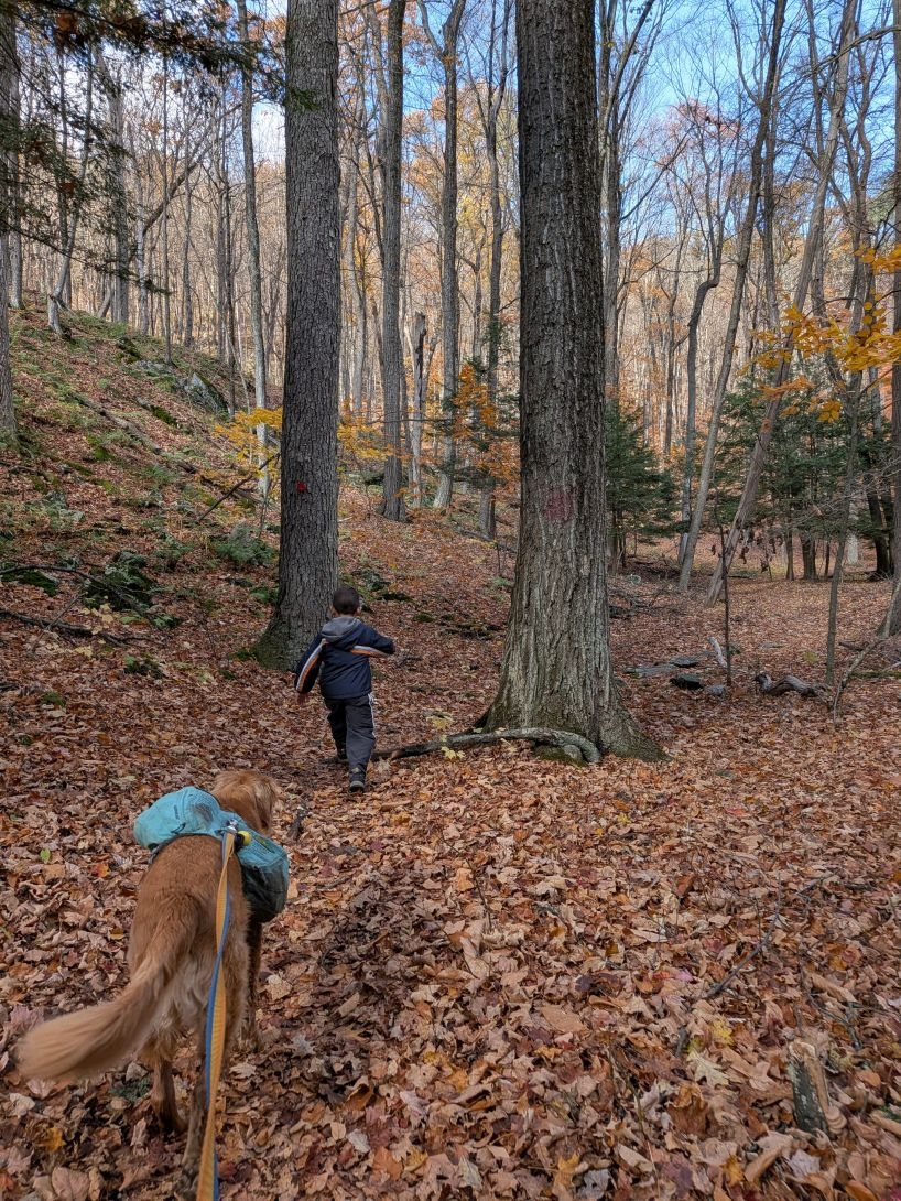 running in the woods