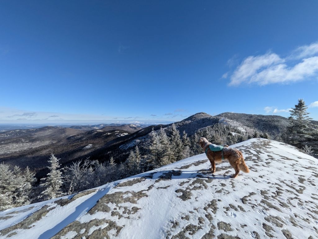 sunny, covered in snow, getting ready for the rest of the ridge