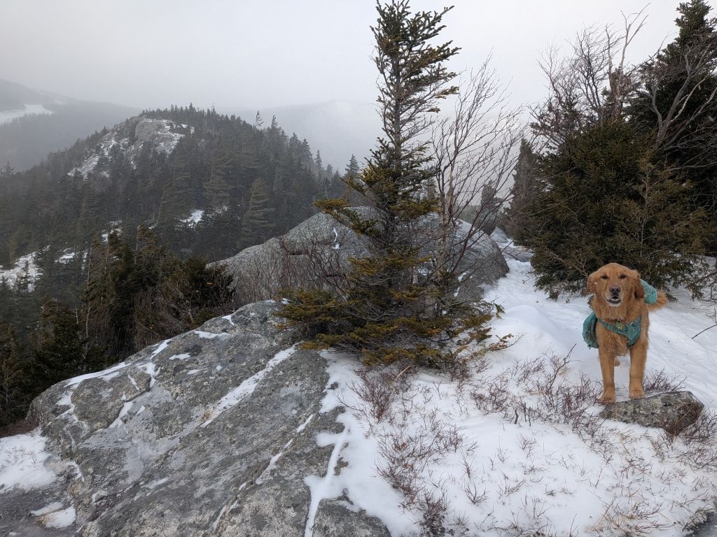 sunny about to go down bear den