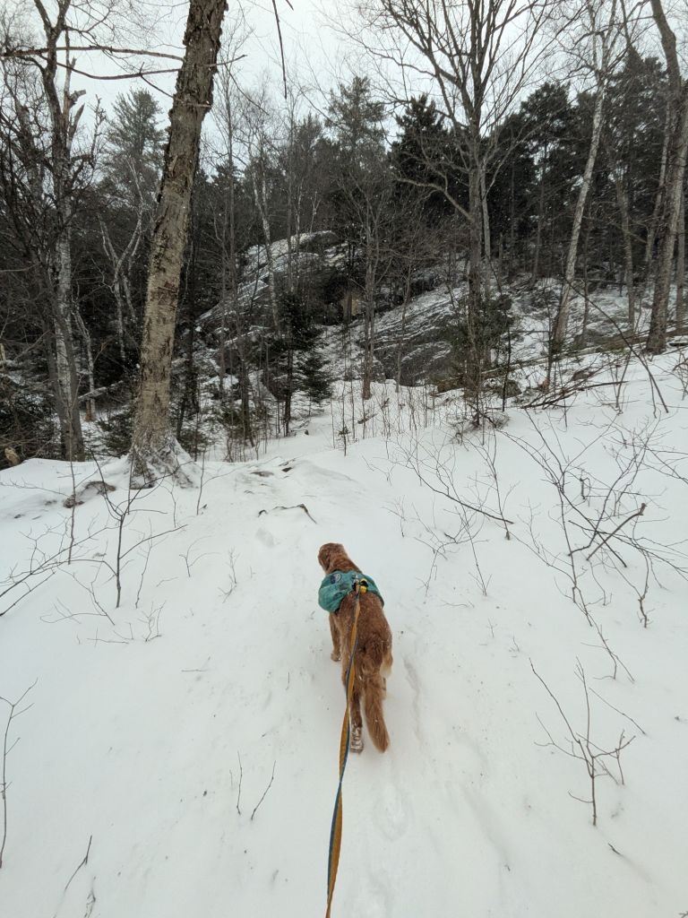 approaching the cliffs