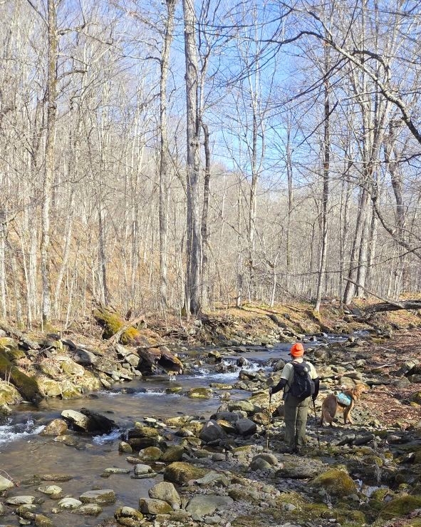 Considering the biscuit brook crossing