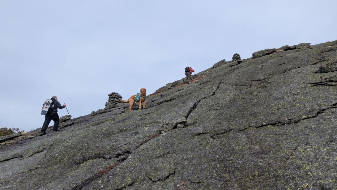 back to  the  top