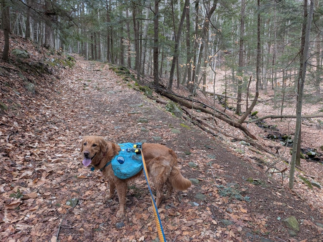 Inman pond  trail... wide cart track