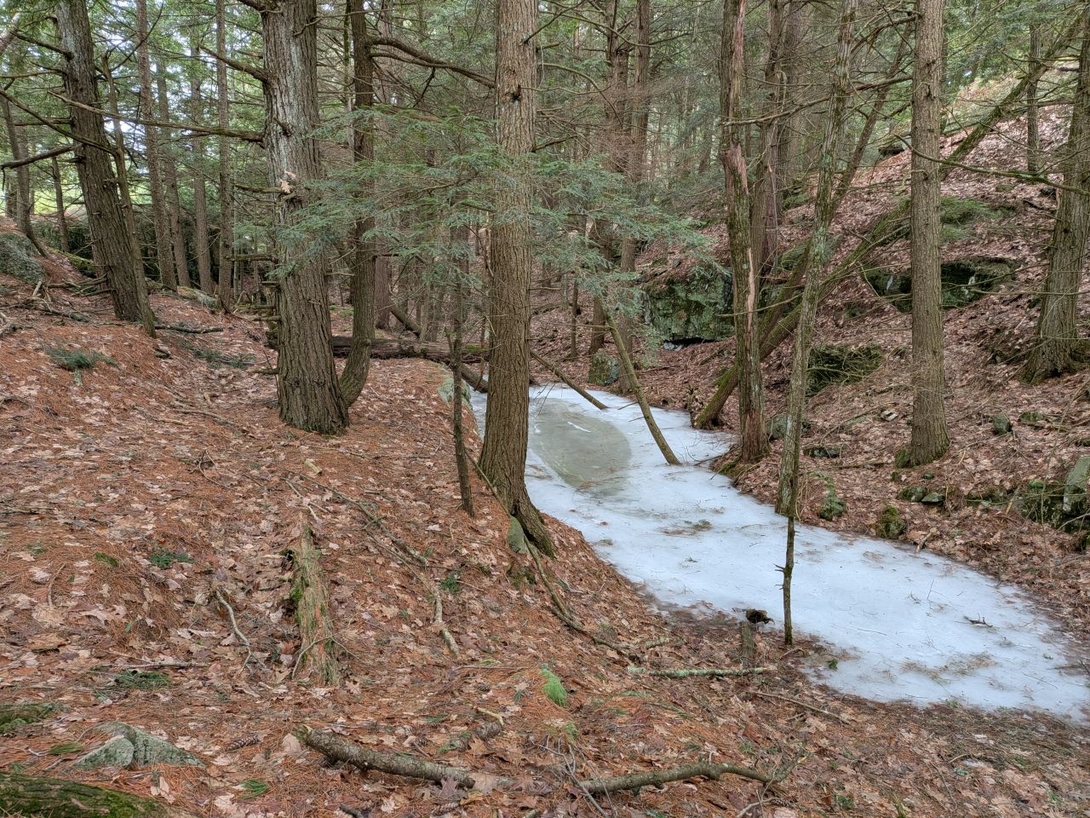 verdant pool on the mountain