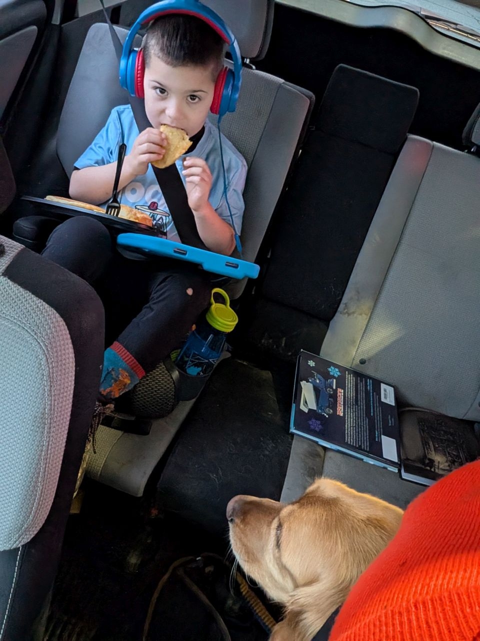 Quinn eating breakfast in the car while sunny looks on