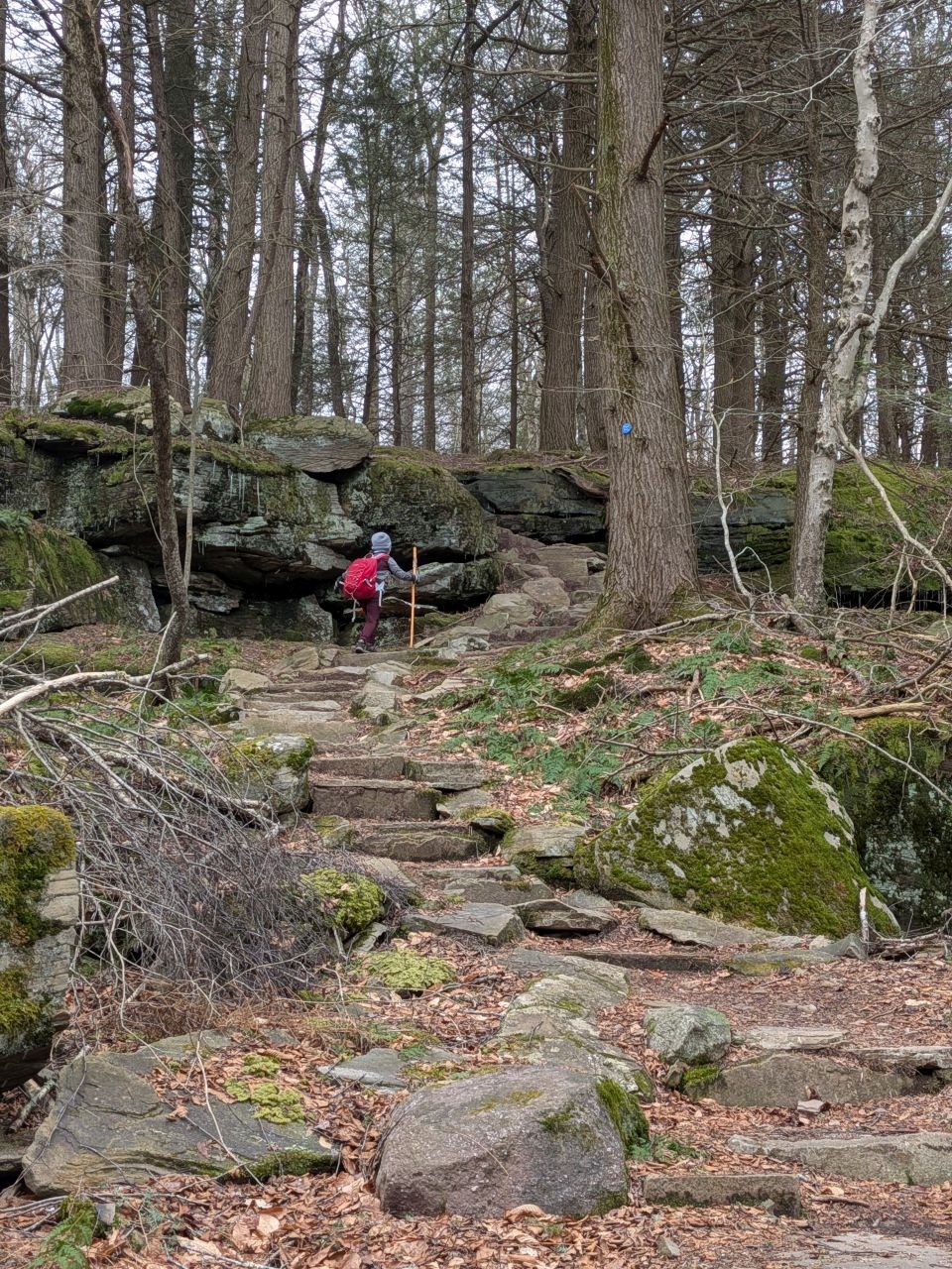 stairs and rock features
