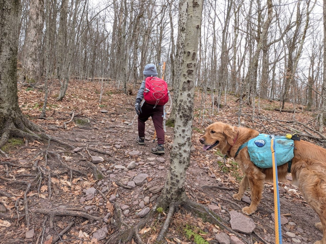 final ascent