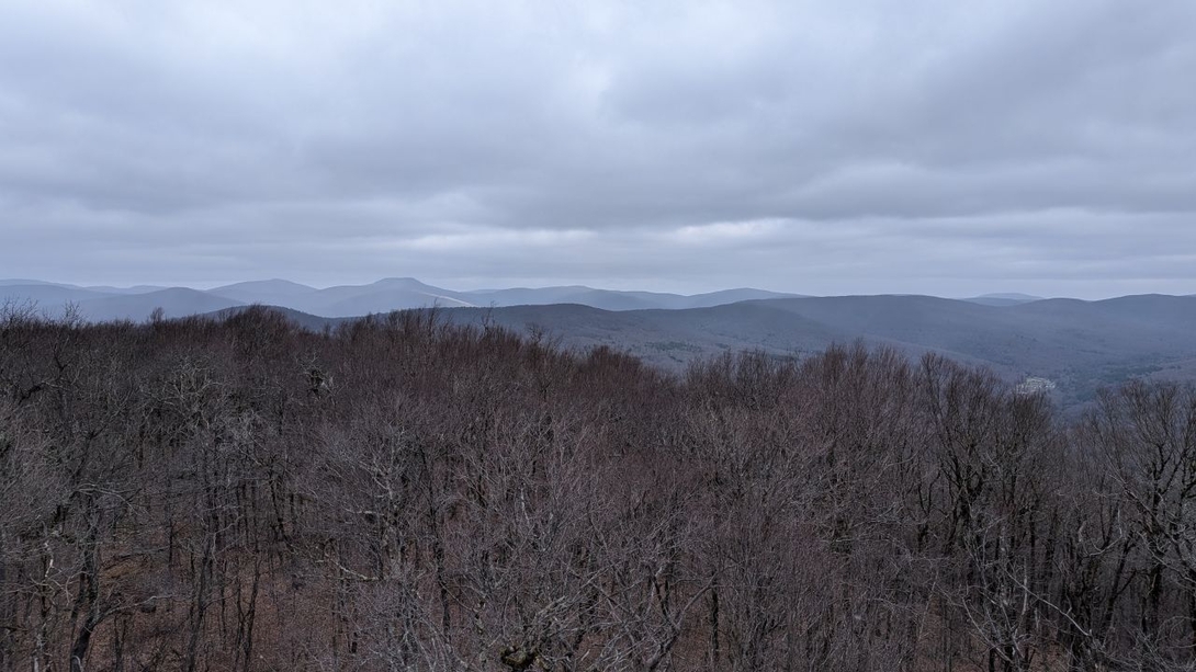 view from the fire tower