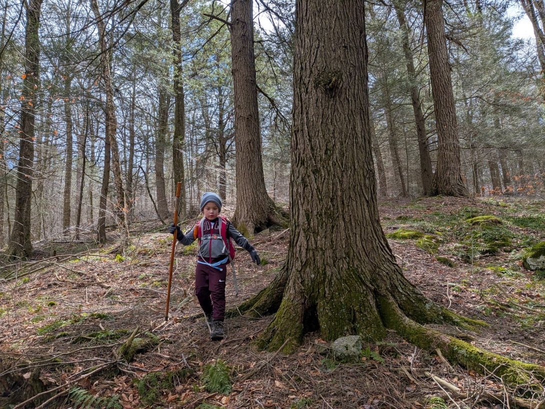bushwhacking