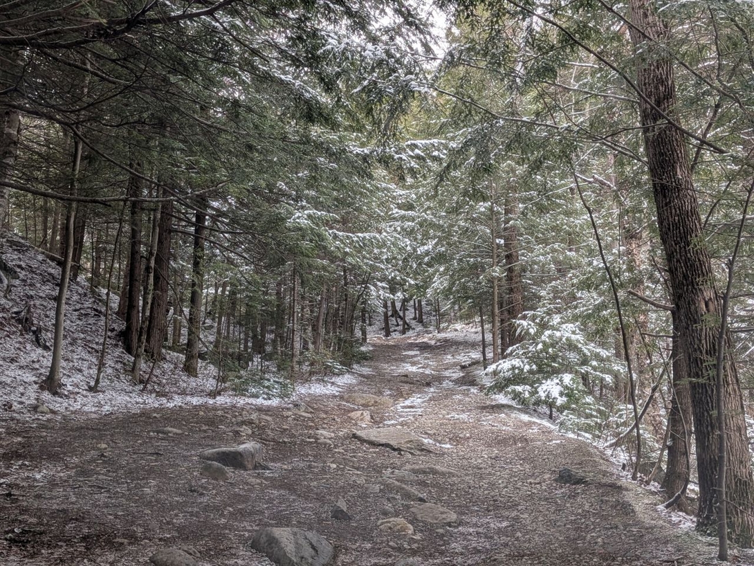 chapel pond camping area road