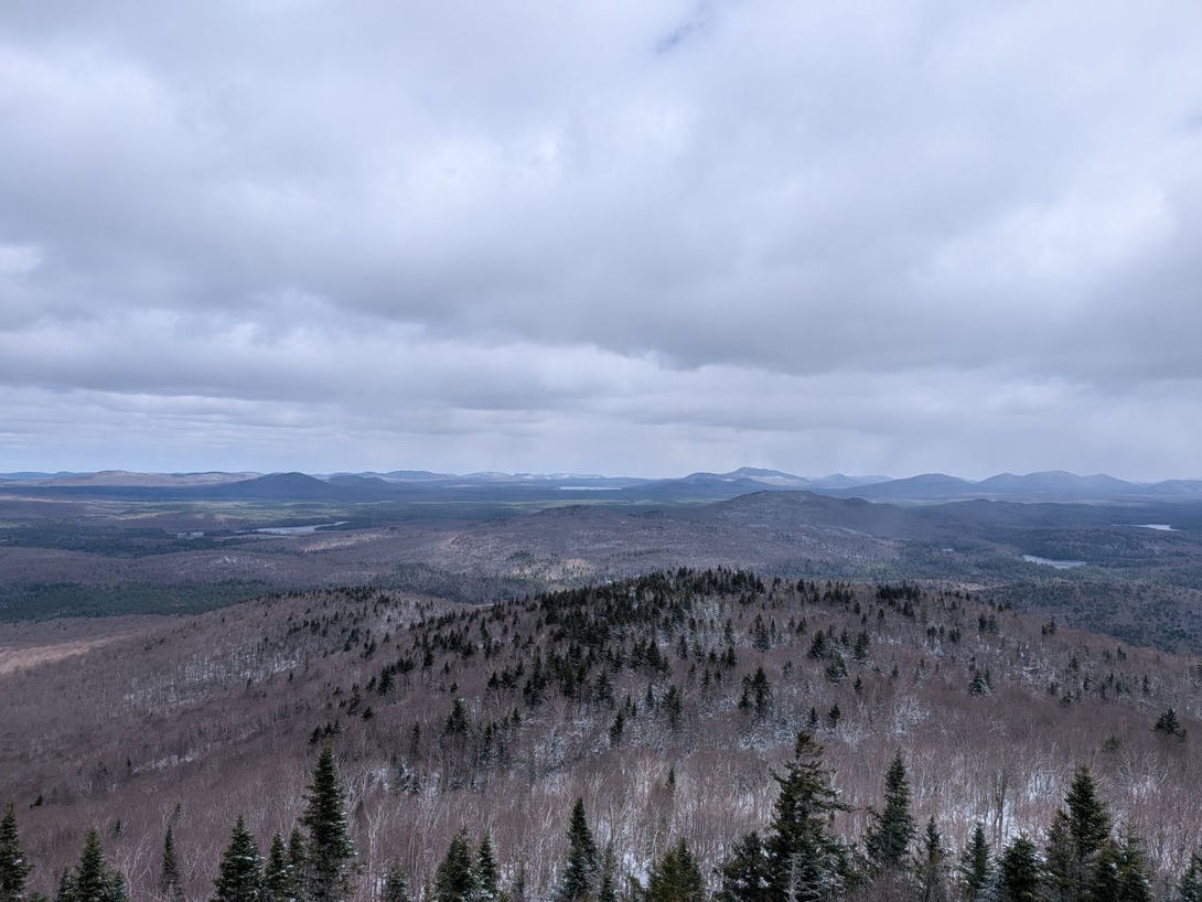 view from the fire tower