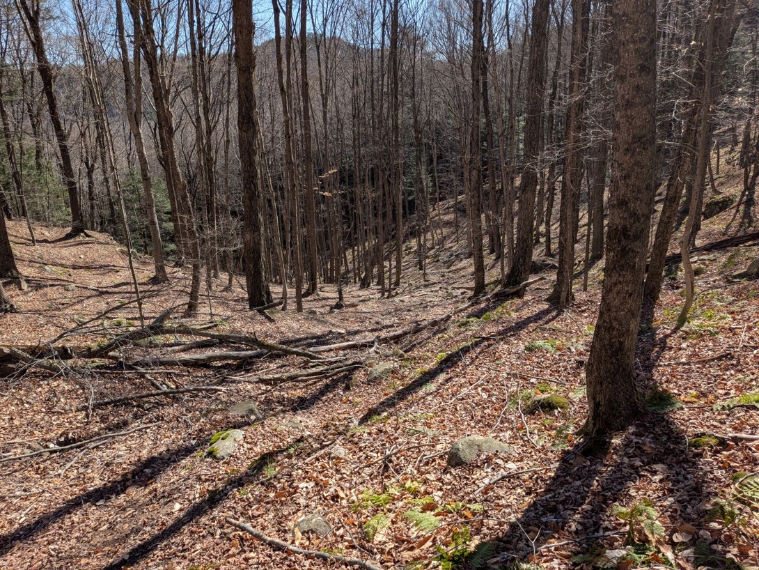 looking back down the drainage