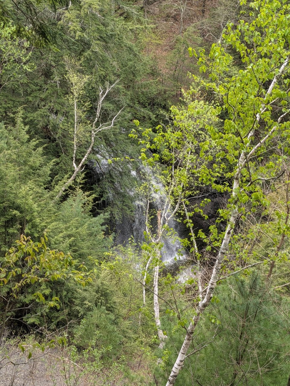 lower falls