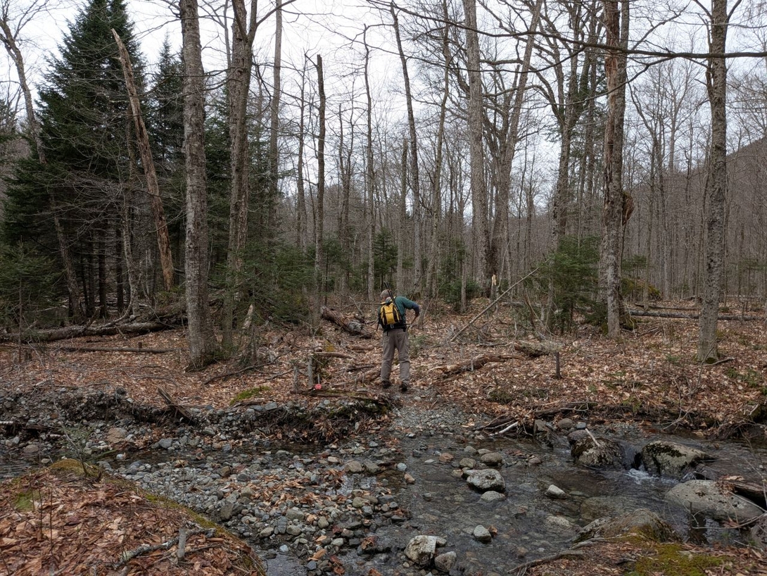 clearing drainages