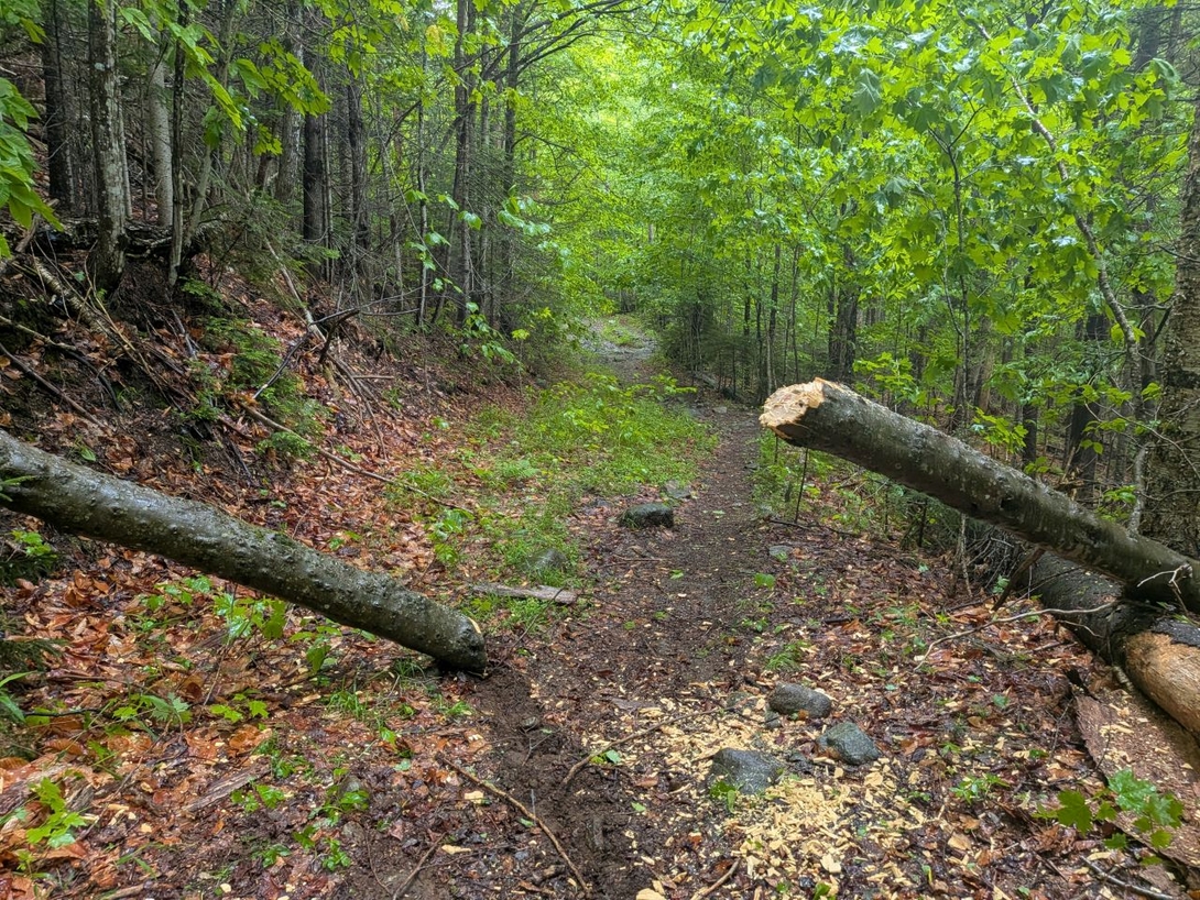log!
