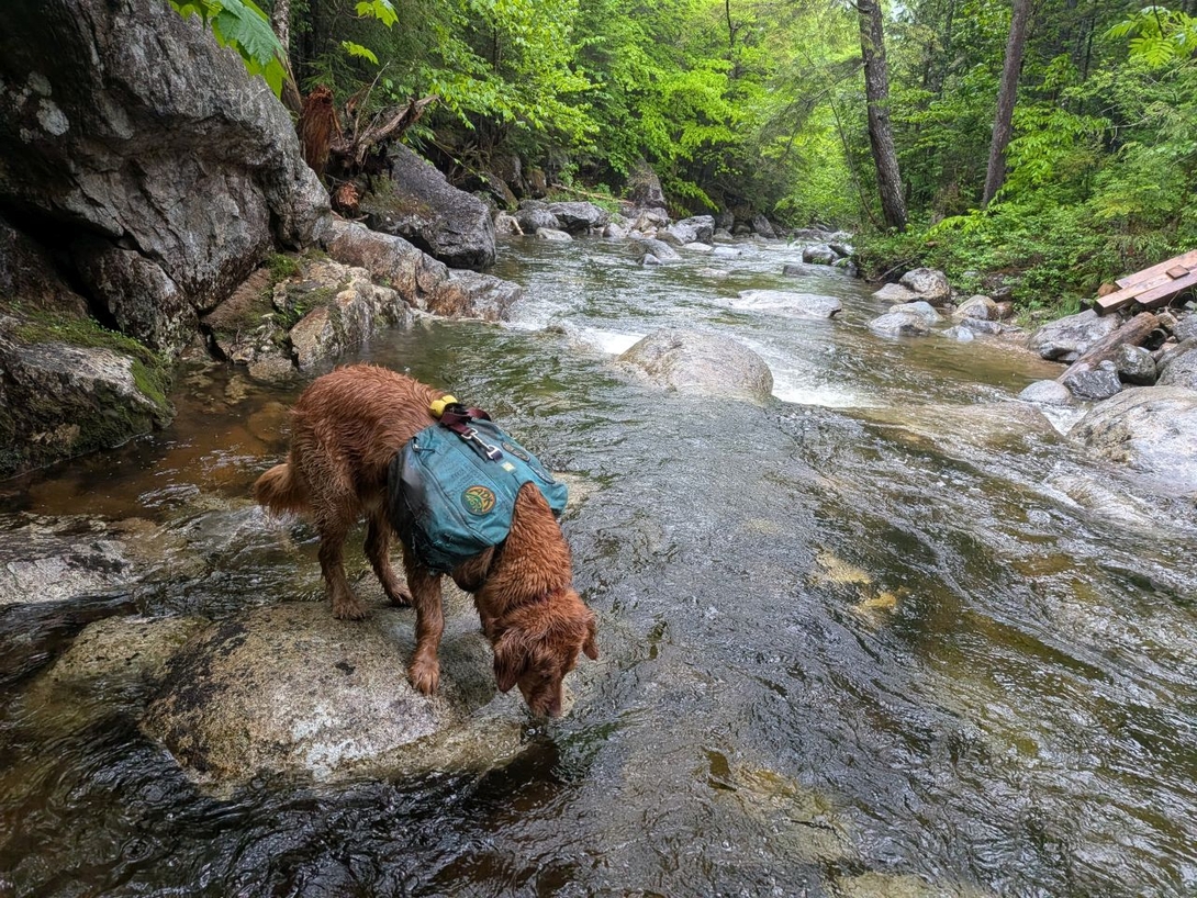 Sunny drinking  water