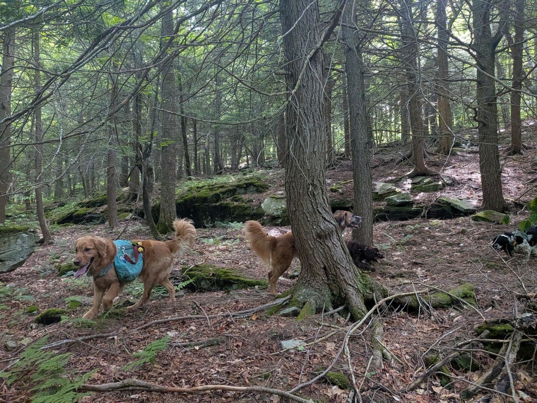 sunny and emma running  around