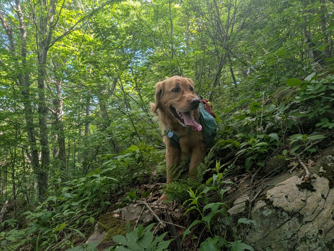 more climbing