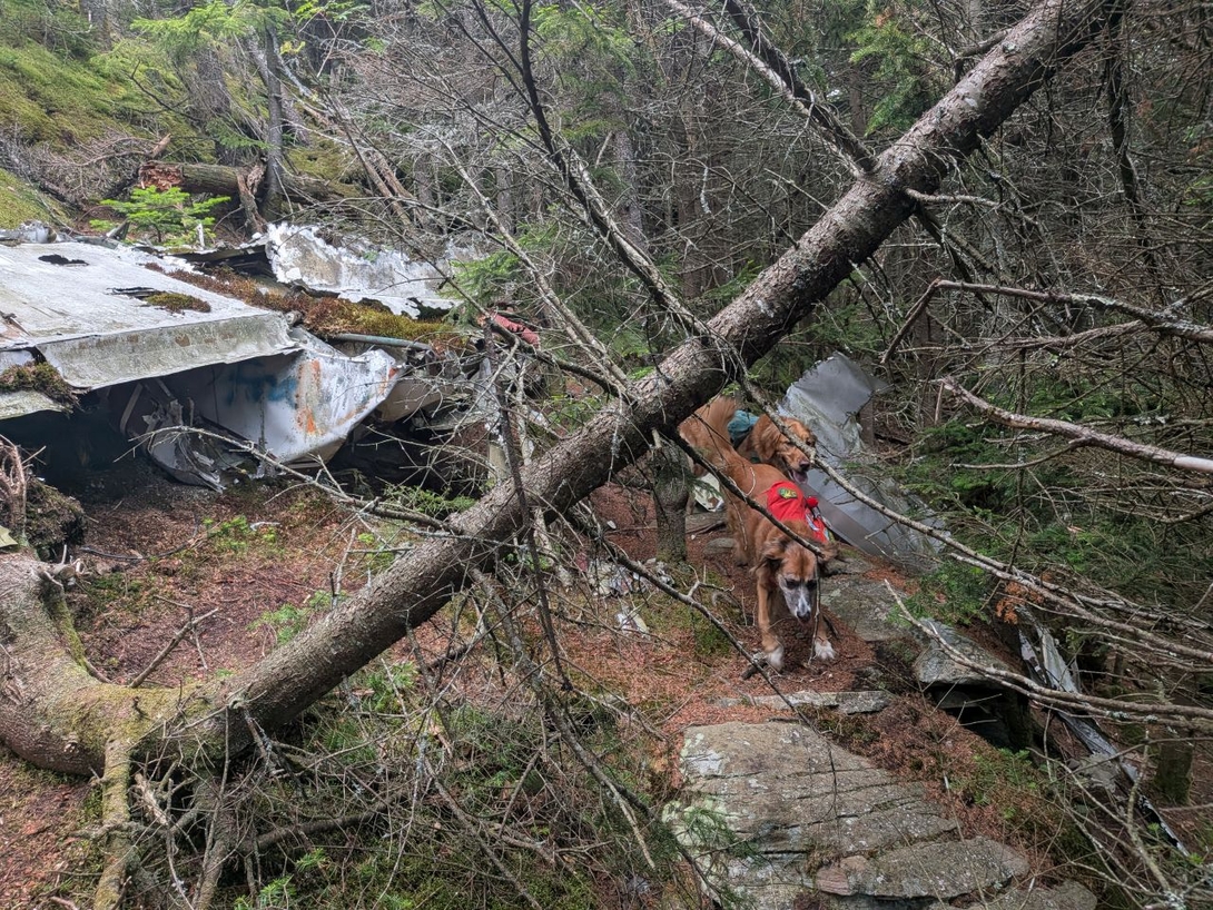 wreckage