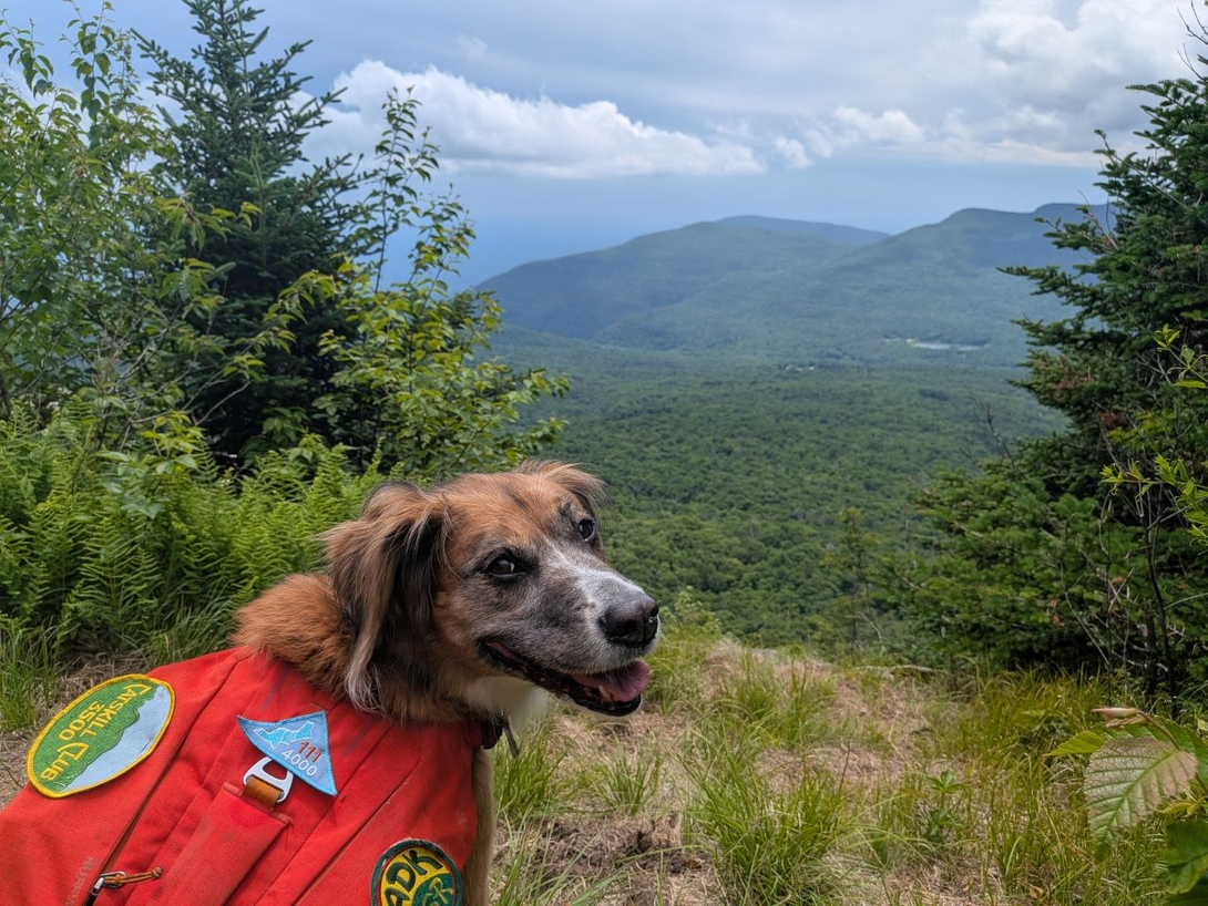 emma summit